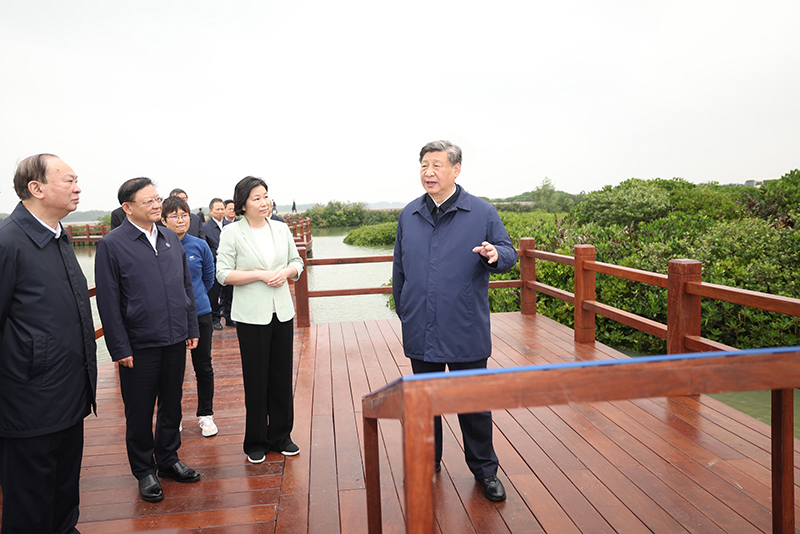 腾博汇游戏官网·(中国)专业效劳,诚信为本