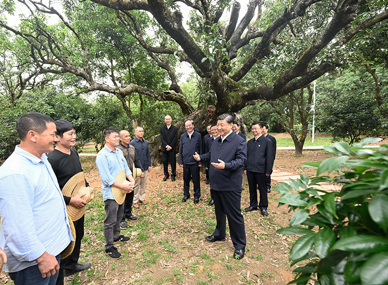 腾博汇游戏官网·(中国)专业效劳,诚信为本