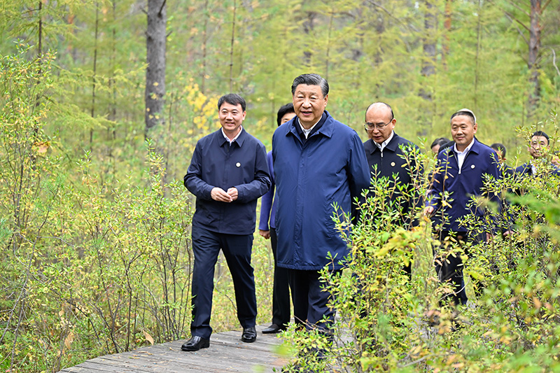9月6日至8日，，，，中共中央总书记、国家主席、中央军委主席习近平在黑龙江考察。。。。这是6日下昼，，，，习近平在大兴安岭地区漠河市漠河林场自然林区考察